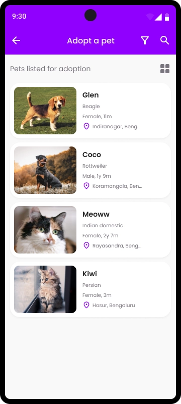 Adoption 1