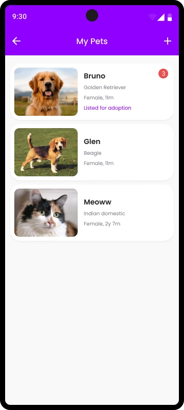 Adoption 3