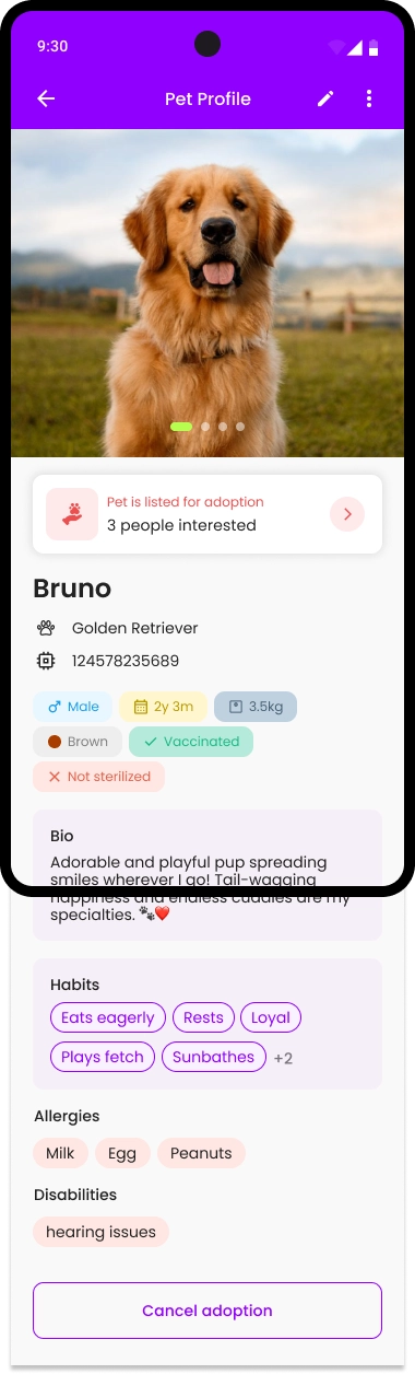 Adoption 4