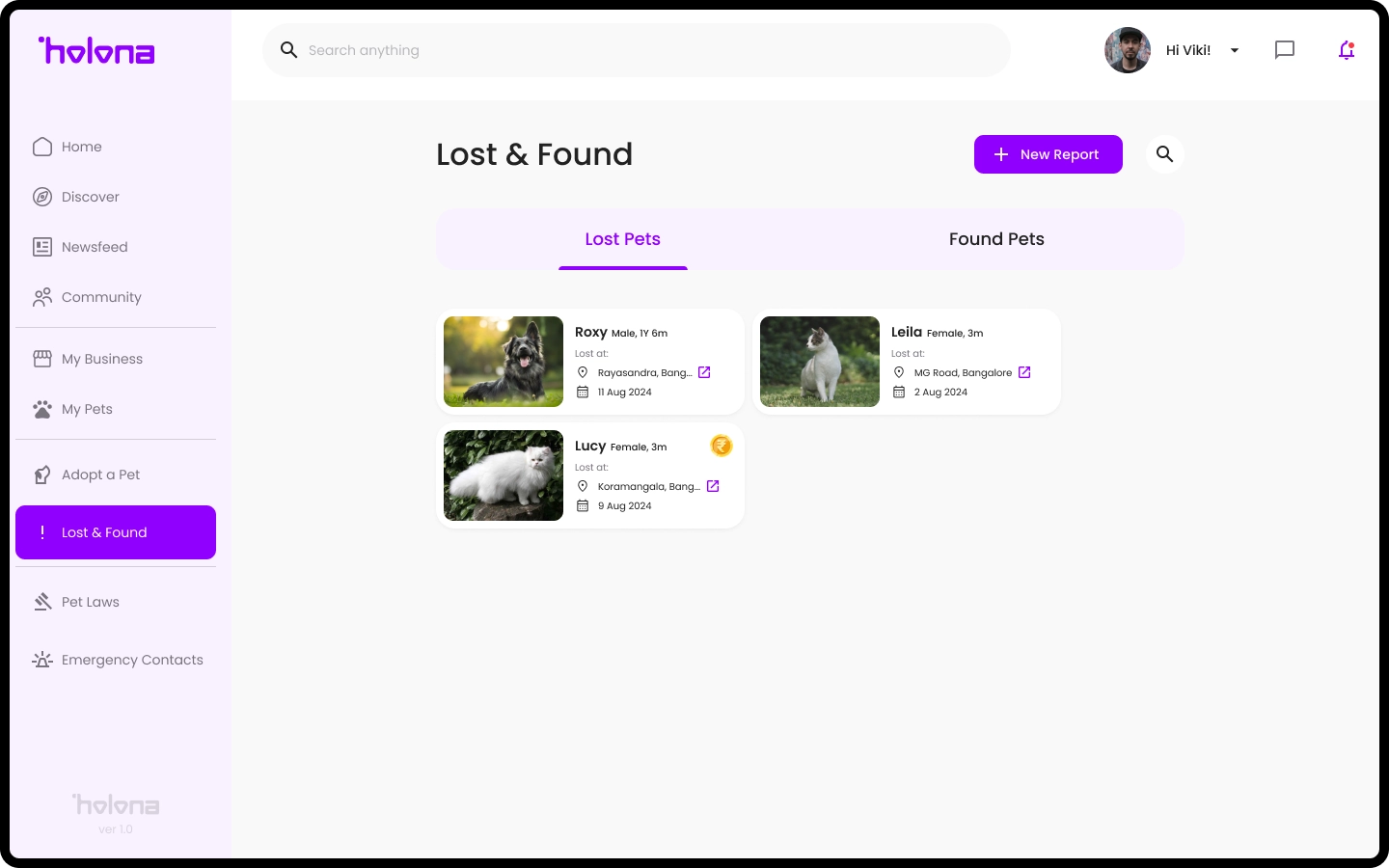 Lost & Found 5