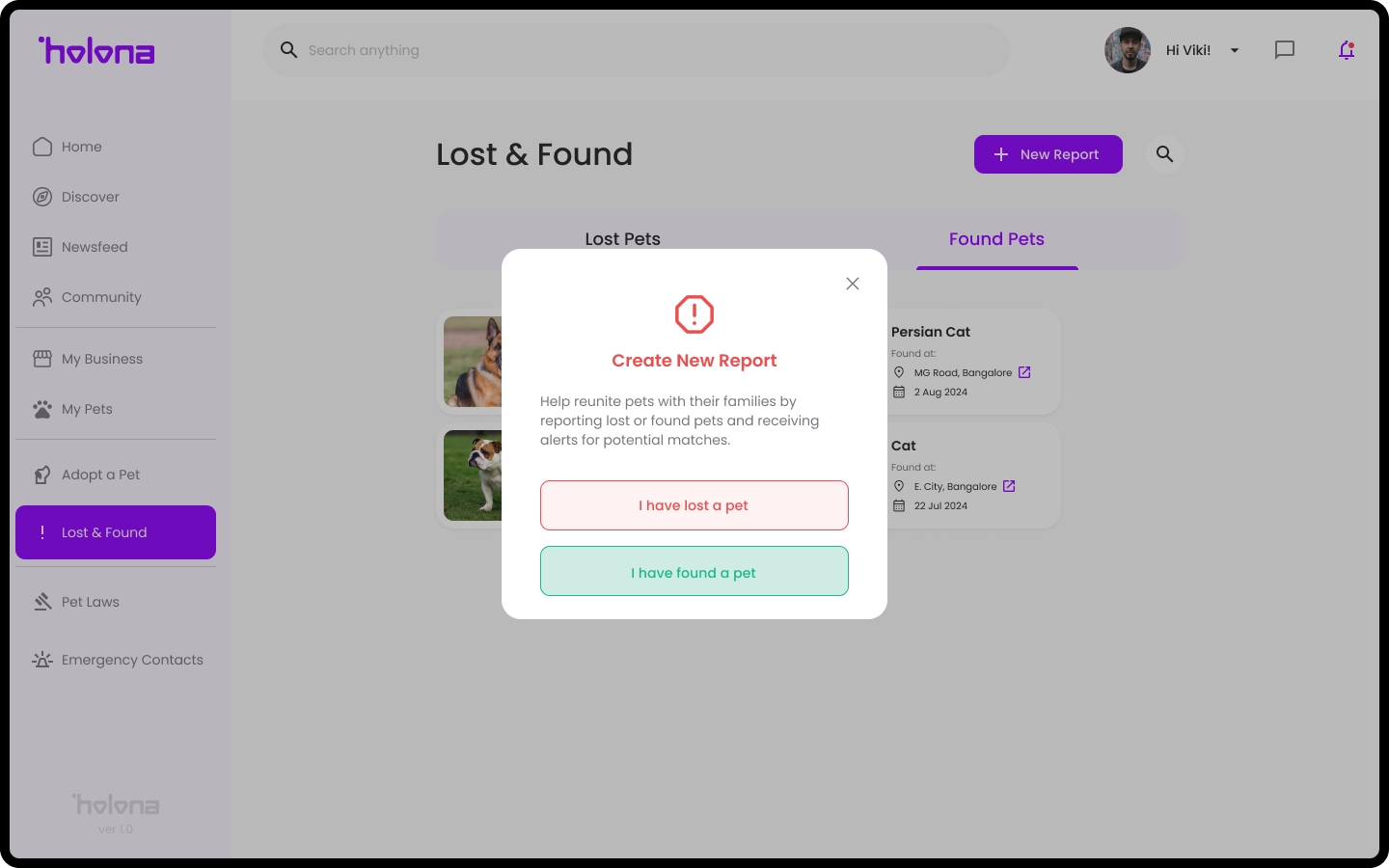Lost & Found 6