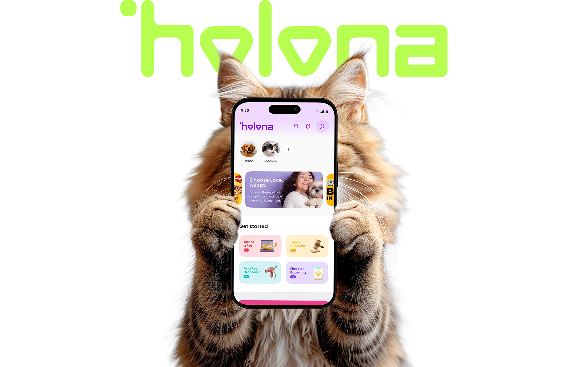 Holona Cover
